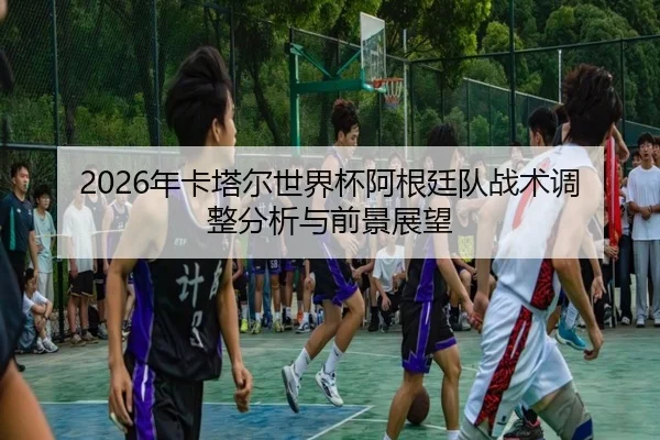 2026年卡塔尔世界杯阿根廷队战术调整分析与前景展望