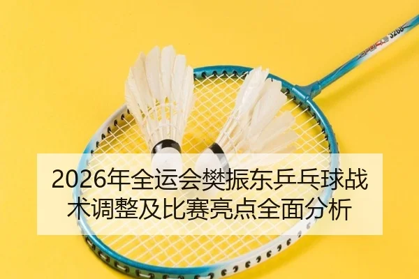 2026年全运会樊振东乒乓球战术调整及比赛亮点全面分析